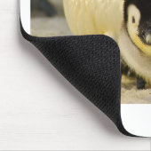 Penguin baby muismat (Hoek)