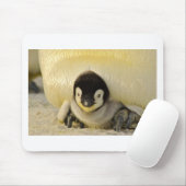 Penguin baby muismat (Met muis)