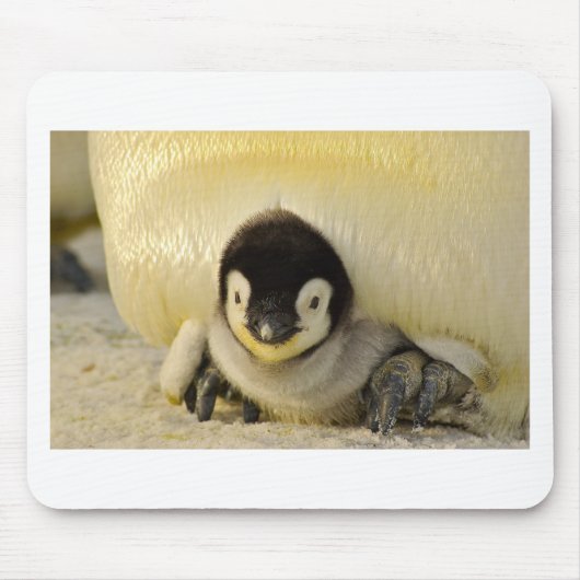 Penguin baby muismat (Voorkant)
