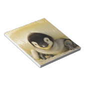 Penguin baby notitieblok (Schuin)
