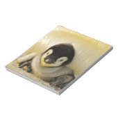 Penguin baby notitieblok (Linkerzijde)