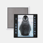 Penguin Baby Penguin-liefhebber Fine Art Magnet (Voorkant / Achterkant)