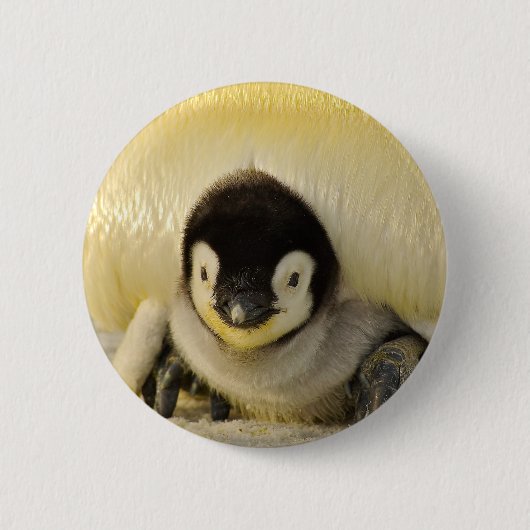 Penguin baby ronde button 5,7 cm (Voorkant)