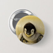 Penguin baby ronde button 5,7 cm (Voorkant /achterkant)