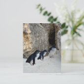 Penguin Beach House Briefkaart (Staand voorkant)