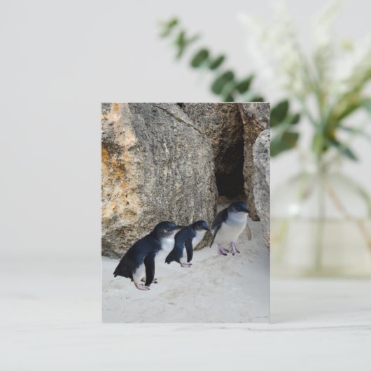 Penguin Beach House Briefkaart (Staand voorkant)