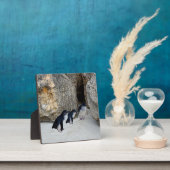 Penguin Beach House Fotoplaat (Insitu)