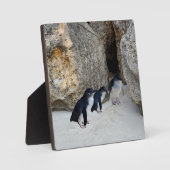 Penguin Beach House Fotoplaat (Voorkant)