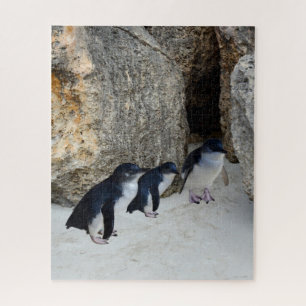 Penguin Beach House Legpuzzel