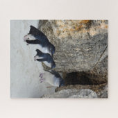 Penguin Beach House Legpuzzel (Horizontaal)