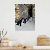 Penguin Beach House Poster (Keuken)