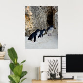Penguin Beach House Poster (Thuiskantoor)