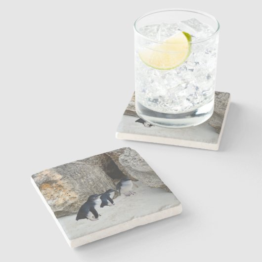 Penguin Beach House Stenen Onderzetter (Zijkant)