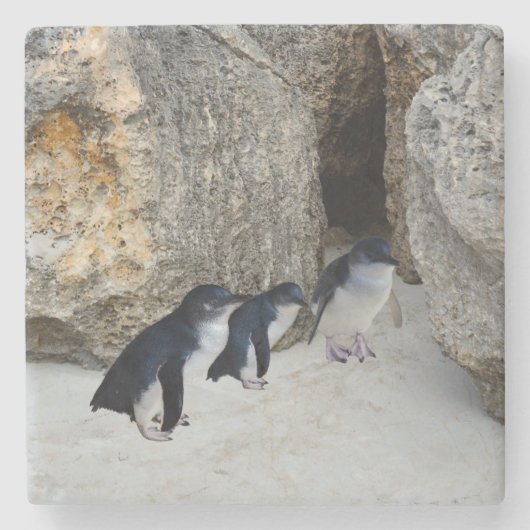 Penguin Beach House Stenen Onderzetter (Voorkant)