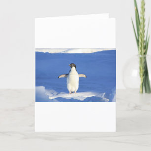 Penguin Bird Feathers Black White Persoonlijke naa Kaart