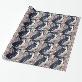 Penguin Bird Leuk Dier Zwart Wit Water Cadeaupapier