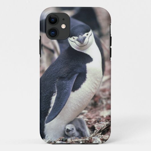 Penguin Bird Leuk Dier Zwart Wit Water Case-Mate iPhone Case (Achterkant)