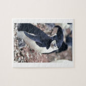 Penguin Bird Leuk Dier Zwart Wit Water Legpuzzel (Horizontaal)