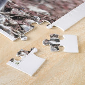 Penguin Bird Leuk Dier Zwart Wit Water Legpuzzel (Zijkant)