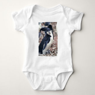 Penguin Bird Leuk Dier Zwart Wit Water Romper