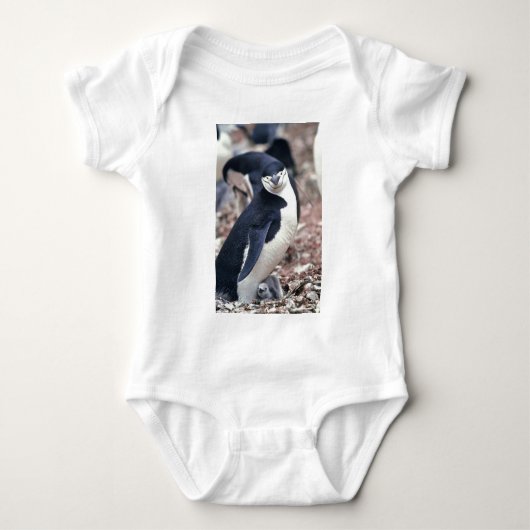 Penguin Bird Leuk Dier Zwart Wit Water Romper (Voorkant)