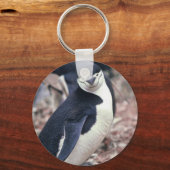 Penguin Bird Leuk Dier Zwart Wit Water Sleutelhanger (Voorkant)