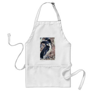 Penguin Bird Leuk Dier Zwart Wit Water Standaard Schort