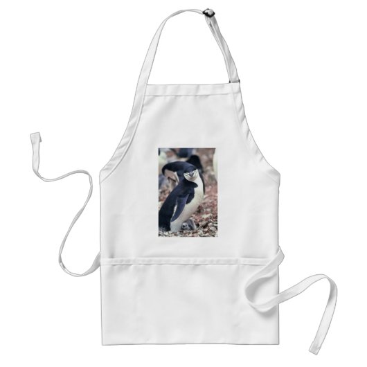 Penguin Bird Leuk Dier Zwart Wit Water Standaard Schort (Voorkant)