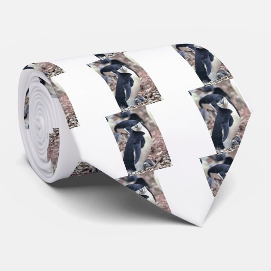 Penguin Bird Leuk Dier Zwart Wit Water Stropdas (Opgerold)