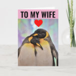 PENGUIN BIRTHDAY-KAART VOOR WIFE KAART<br><div class="desc">VOOR MIJN VROUW. IK HOU VAN KINDEREN. HAPPY BIRTHDAY-WENSKAART</div>