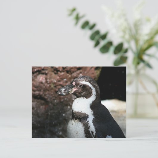 Penguin Briefkaart (Staand voorkant)