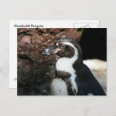 Penguin Briefkaart (Voorkant / Achterkant)