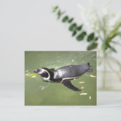 Penguin Briefkaart (Staand voorkant)