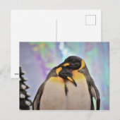 Penguin Briefkaart (Voorkant / Achterkant)
