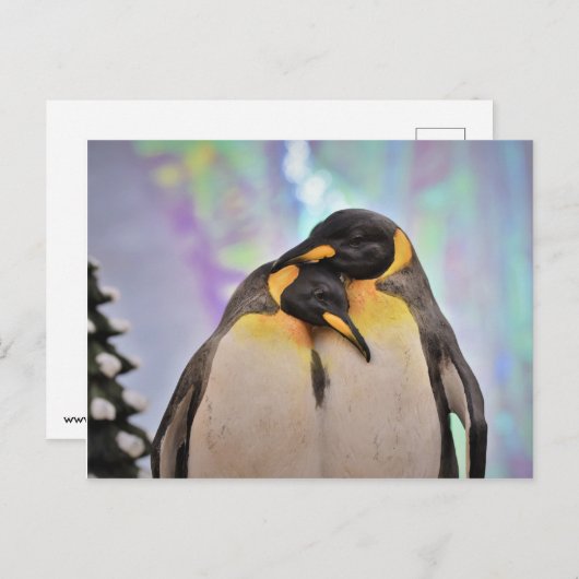 Penguin Briefkaart (Voorkant / Achterkant)