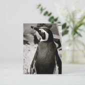 Penguin Briefkaart (Staand voorkant)