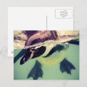 Penguin Briefkaart (Voorkant / Achterkant)