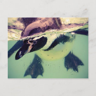 Penguin Briefkaart