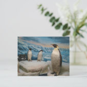 Penguin Briefkaart (Staand voorkant)
