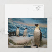 Penguin Briefkaart (Voorkant / Achterkant)