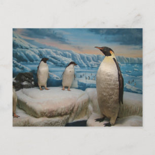 Penguin Briefkaart