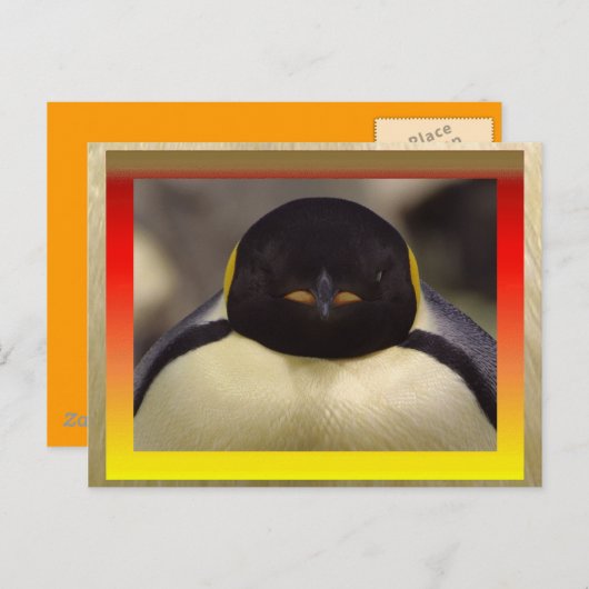 Penguin Briefkaart (Voorkant / Achterkant)