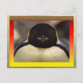 Penguin Briefkaart (Voorkant)