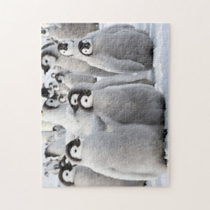 Penguin buddies legpuzzel