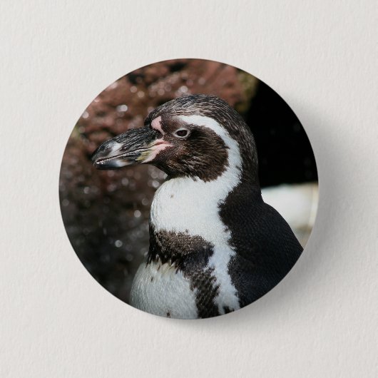 Penguin Button (Voorkant)