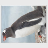 Penguin Cadeaupapier (Vlak)