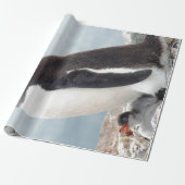 Penguin Cadeaupapier (Uitgerold)