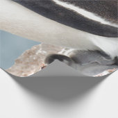 Penguin Cadeaupapier (Hoek)