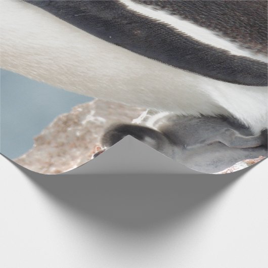 Penguin Cadeaupapier (Hoek)