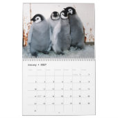 Penguin Calendar Kalender (Jan 2027)
